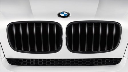 BMW Performance E71/E72 Grille zwart