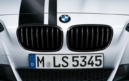 BMW M Performance grille zwart F20,F21