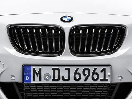 BMW Performance Grille zwart F22/F23