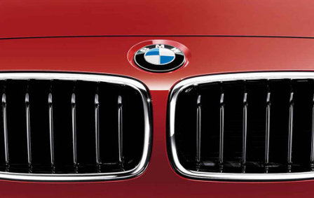 BMW Grille Sport Line F30/F31