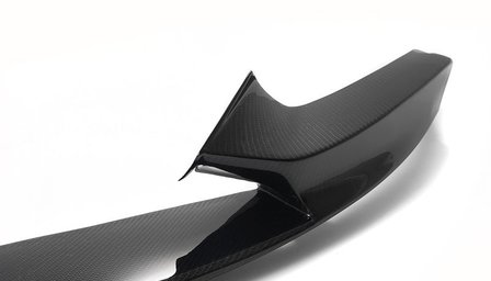 Frontspoiler lip carbon F22