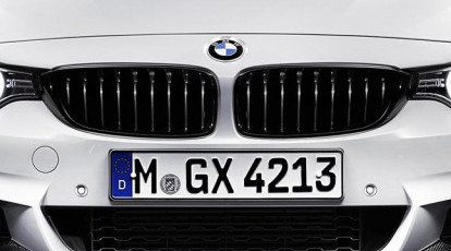 BMW M Performance Grille F32,F33