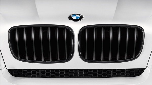 BMW Performance E71/E72 Grille zwart