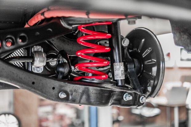 Cobra Suspension verlagingsveren | Mini R61 Paceman Cooper S (ALL4) - 30/25