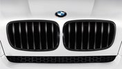 Performance grille zwart E70