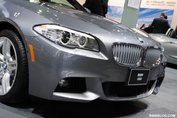 BMW Titan grille F10/F11