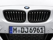 M Performance Grille zwart F22/F23