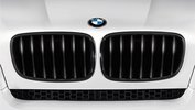 M Performance grille X3 F25 X4 F26 04/2014-